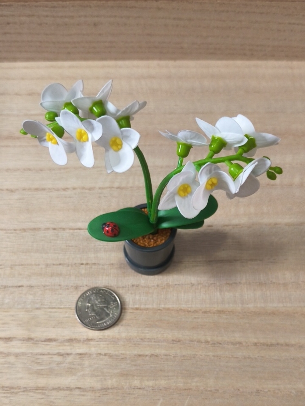Zuru Mini Brands Creat Garden White Orchids